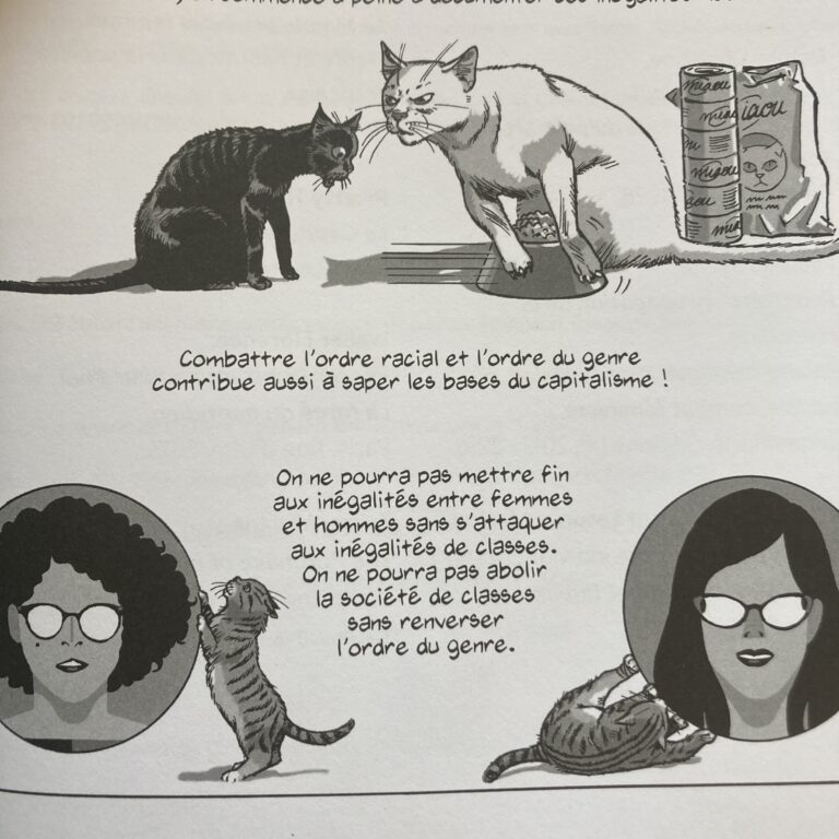 Lire des BD - Le genre du capital de Céline Bessiere, Sibylle Gollac et Jeanne Puchol