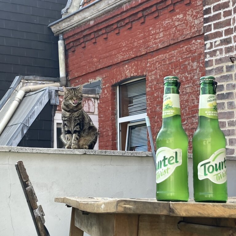 Une vie punk "Lille"